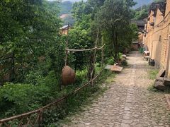 -杨家堂村