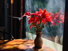 -蓝壁虎咖啡酒馆