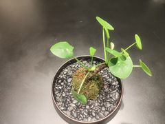 -龙宴海鲜城(经中路店)