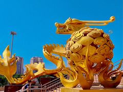 -中央广播电视塔