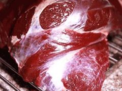 -大戚饭店(泰华路店)