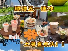 -顺峰山公园