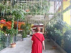 -君临七星生态酒店