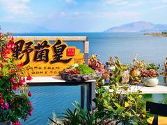 -野菌皇海景野生菌火锅(滨海大道店)