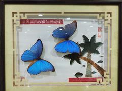 -沈阳植物园