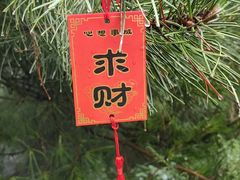 -泰山风景名胜区