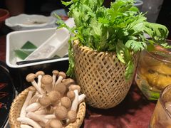 -松鹤精致料理(五一中路店)