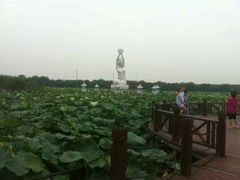 -荷塘月色湿地公园·向阳花洲