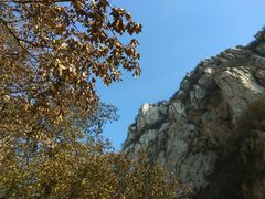 -嵩山少林文化旅游景区