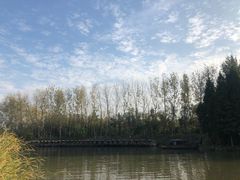 -溱湖国家湿地公园