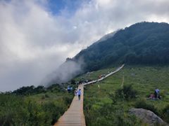 -白草畔自然风景区