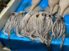 -鑫朱雀农贸批发市场