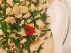 沙葱拌豆腐-宁夏国强手抓羊肉·清真菜(未央路凤三店)