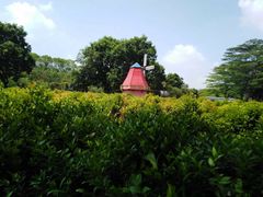 -东莞植物园