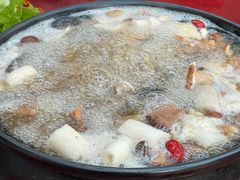 -蘑统田下·野生菌火锅