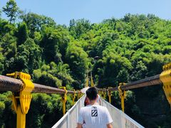 -川西竹海景区