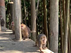-太阳湾风景区