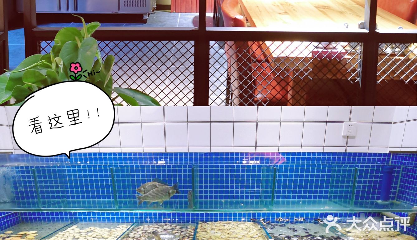 海鲜烧烤特色菜，就在新罗一代