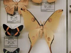 -青岛市博物馆