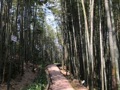 -漫山居私汤民宿全竹宴