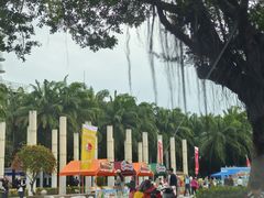 -新一番三文鱼寿司(大东海店)