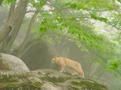 -崂山巨峰游览区