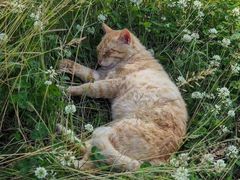 -海南鉴湖蓝湾高尔夫球会