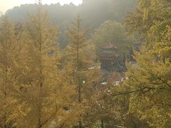 -遵化市禅林寺古银杏风景园