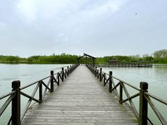 -溱湖国家湿地公园