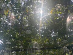 -荔湾湖公园