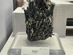 -湖南省地质博物馆