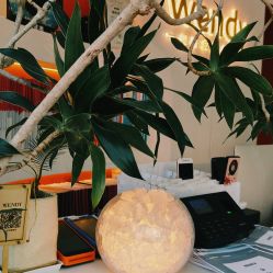 -WENDY·温迪皮肤管理