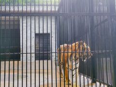 -广东茂名森林公园