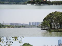 -顺峰山公园