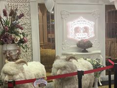 -新兴家喻酒家·羊城名宴(昌岗店)