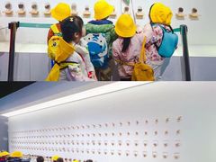 -杨梅红艺术教育(西安高新唐延教学中心)
