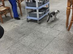 -龙达温泉生态城