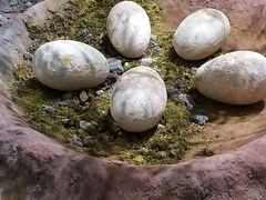 -湖南省地质博物馆