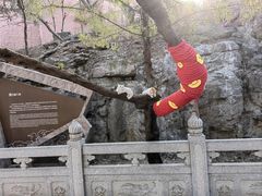 -千佛山风景名胜区