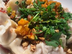 -爆炸头阿姨小四川正宗川味小吃(无任何分店)