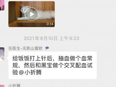 -瑞派雷欧宠物医院·24h夜诊·心脏骨科牙科·全科重症转诊中心(无影山店)