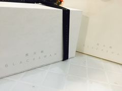 -BLACKSWAN黑天鹅(环球店)