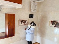 -金山农民画村-枫泾波兰倒置屋