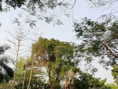 -广州雕塑公园