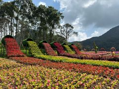 -广州市石门国家森林公园
