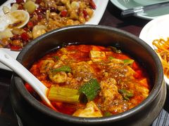-陈麻婆豆腐总店