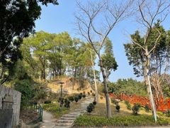 -深圳国际园林花卉博览园