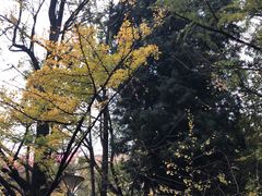-文山荷鲜居(翠湖店)