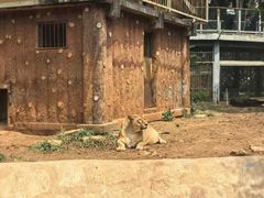 -昆明动物园