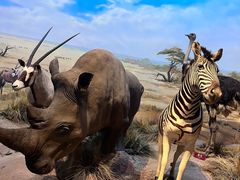 -陕西自然博物馆